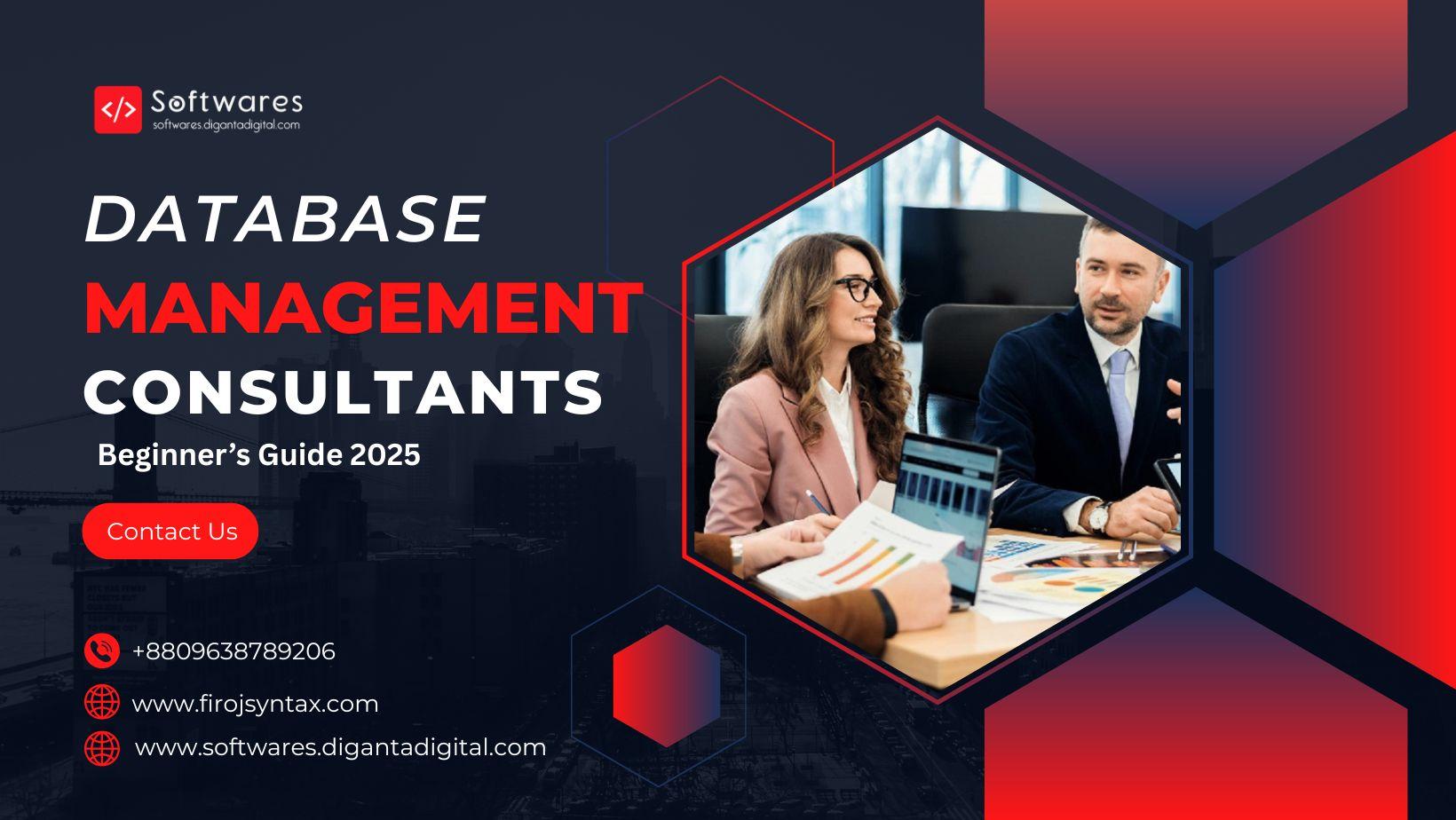 Database Management Consultants: Beginner’s Guide 2025
